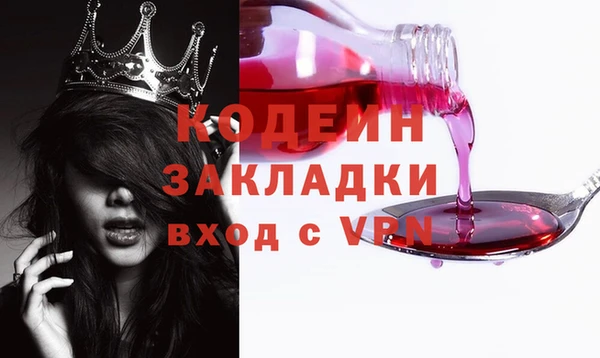 шишки Новозыбков