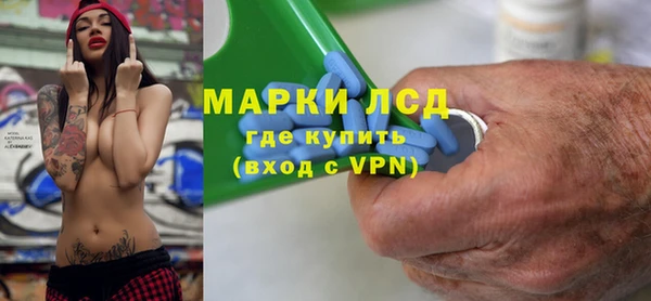 шишки Новозыбков