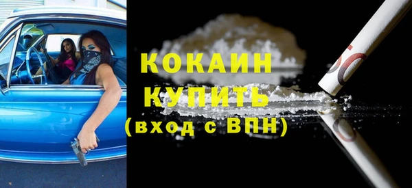 шишки Новозыбков