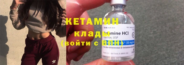 шишки Новозыбков