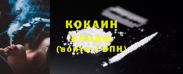шишки Новозыбков
