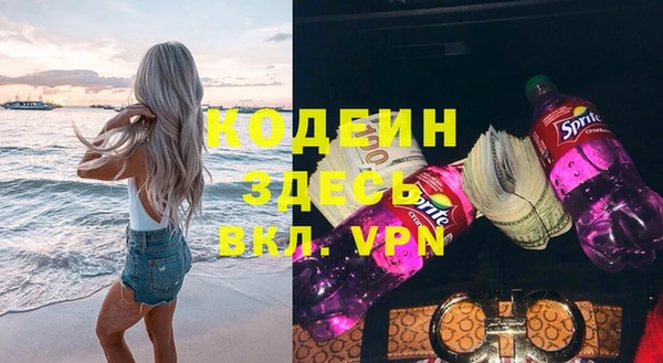 шишки Новозыбков