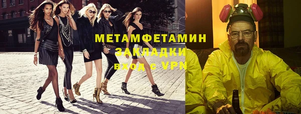 шишки Новозыбков