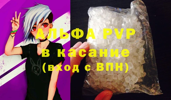 шишки Новозыбков