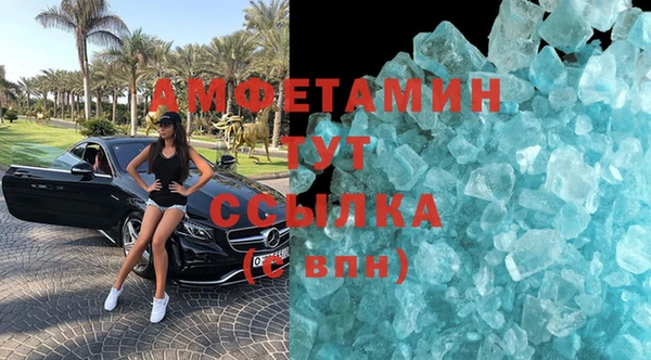 шишки Новозыбков