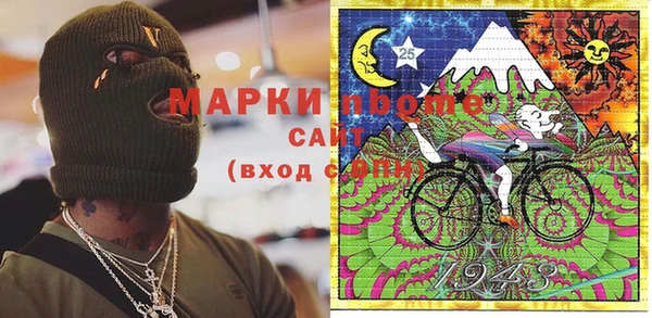 шишки Новозыбков