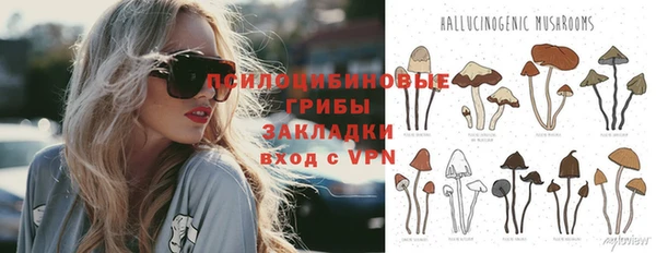 бошки Новокубанск