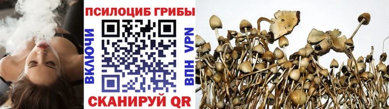 Галлюциногенные грибы Magic Shrooms  Сальск 