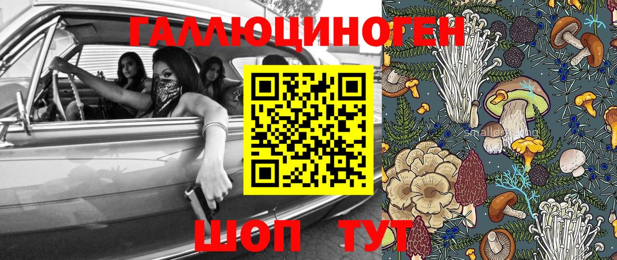 Псилоцибиновые грибы мицелий Сальск