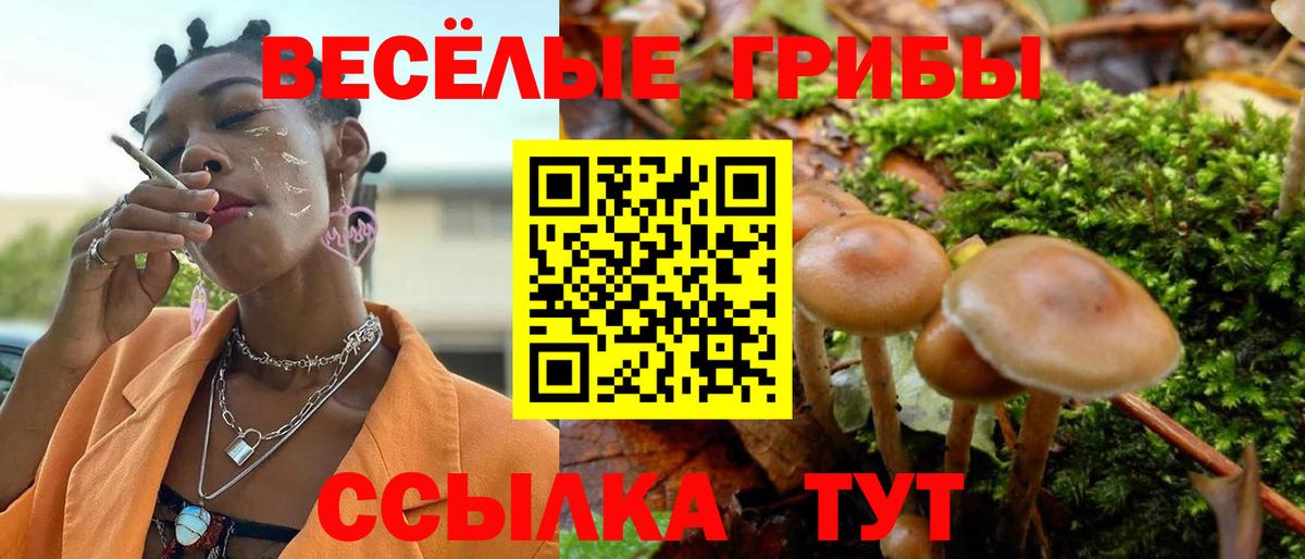 Сальск  Галлюциногенные грибы Magic Shrooms  Вход с VPN 